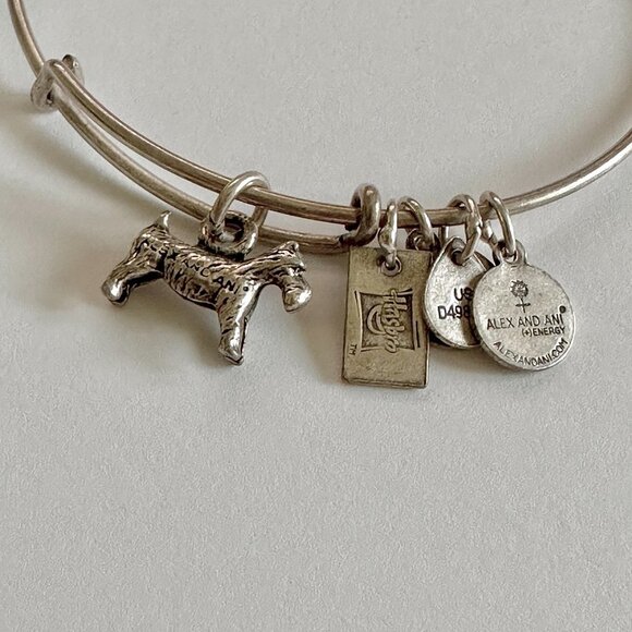 Alex and Ani bracelet Charm Bangle  Bundle of 6 - Picture 7 of 12